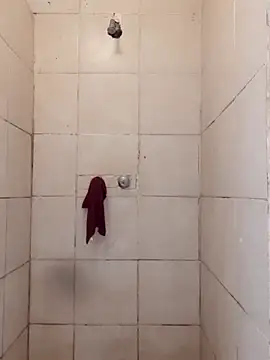 Scollyman online show from 2, 12, 2025