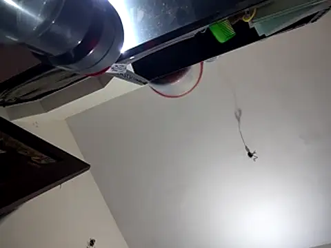 Snapshot of bigvorn6 chatting on 29, 3, 2026 bigvorn6 online show from 29, 3, 2026