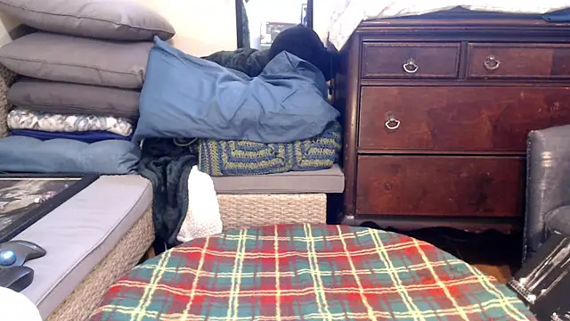 ladyscarlotta online show from 8, 2, 2025