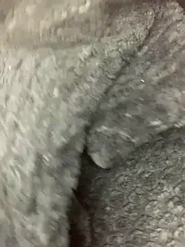 cardibabe online show from 5, 10, 2025