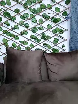 Bold-Cat online show from 5, 12, 2024