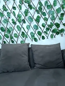 Bold-Cat online show from 3, 10, 2025