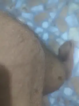 Snapshot of Sunnyboy7897 chatting on 9, 3, 2026 Sunnyboy7897 online show from 9, 3, 2026