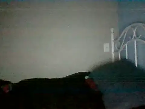 SmokingSloth online show from 16, 3, 2025