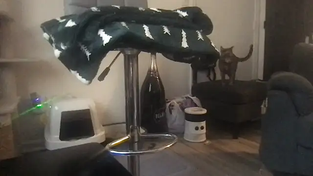 SpunCandy online show from 20, 3, 2026