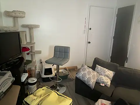 SpunCandy online show from 8, 6, 2026