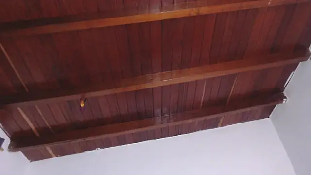 Amara Red online show from 13, 9, 2025