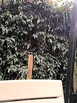 Snapshot of Fun_Everywhere chatting on 14, 3, 2025 Fun Everywhere online show from 14, 3, 2025