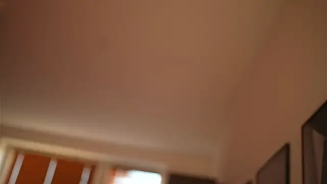 Bellis Perenis online show from 28, 12, 2024