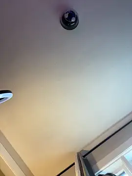 PuckBunny17 online show from 16, 12, 2024