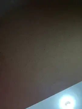 Gabizinhagirls online show from 16, 1, 2026