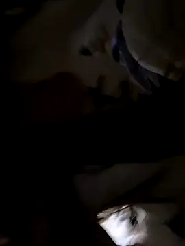 Sweet-Angel999 online show from 30, 11, 2025