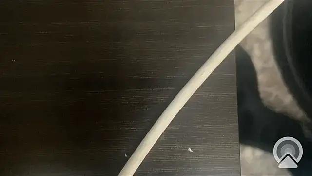 Snapshot of shuai321 chatting on 13, 2, 2025 shuai321 online show from 13, 2, 2025