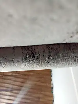 dulce celeste15 online show from 31, 3, 2026