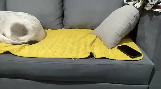 4small4inchlol online show from 28, 1, 2025