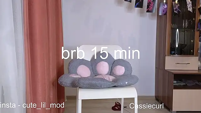 art phoenix online show from 1, 12, 2024