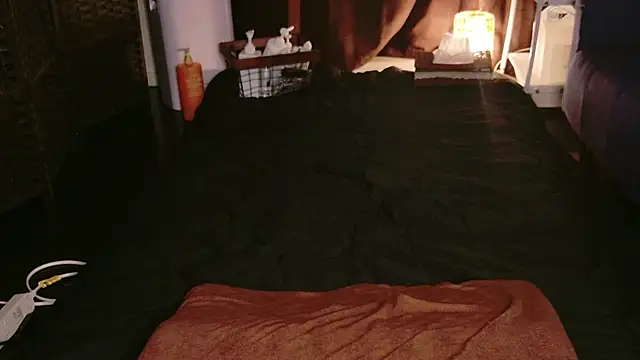 Snapshot of JP-MINT_oO_investigation_ chatting on 8, 10, 2025 JP-MINT oO investigation  online show from 8, 10, 2025