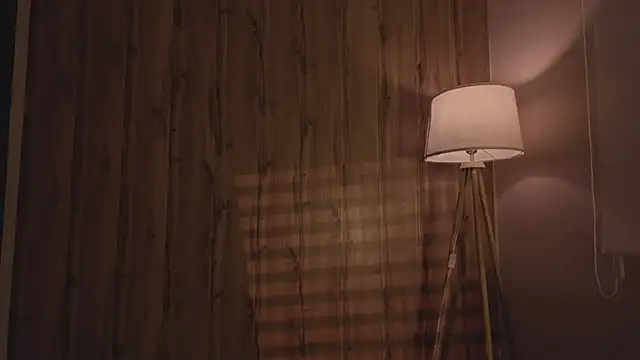 MariMaddison online show from 11, 11, 2025