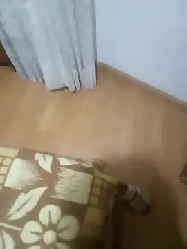 rush6983 online show from 6, 11, 2025