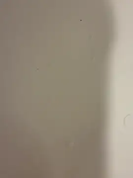 Serkan3356 online show from 9, 2, 2026