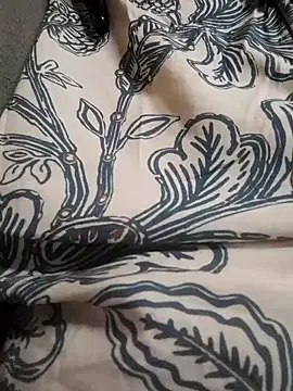 Shikhasexy34 online show from 9, 1, 2026