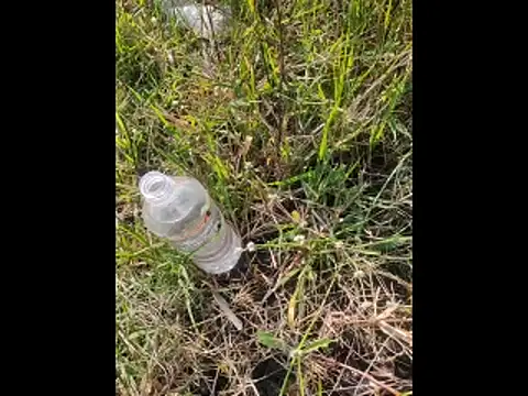 boy BeardGallery online show from 10, 11, 2025