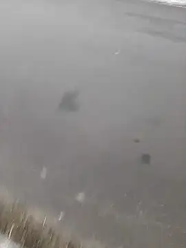 BRUNNA online show from 20, 3, 2025