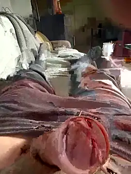 Andy-370 online show from 21, 9, 2025