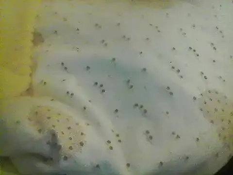 Snapshot of Bigpenis6y chatting on 24, 1, 2025 Bigpenis6y online show from 24, 1, 2025