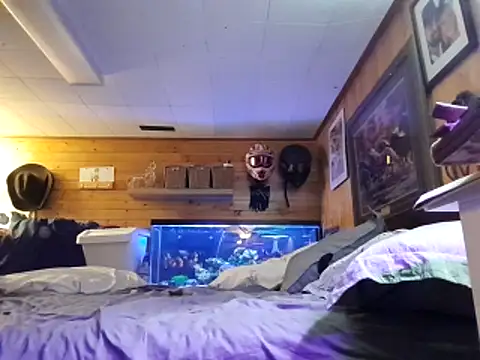 Ryan and Aurora online show from 2, 4, 2026