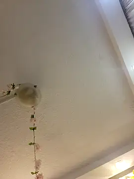 Lau1127 online show from 8, 2, 2026