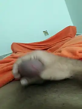 lm279 online show from 31, 10, 2025