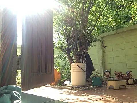 scottish068 online show from 14, 3, 2025