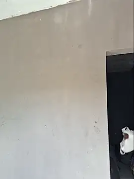 Snapshot of luuhcat09 chatting on 25, 11, 2025 luuhcat09 online show from 25, 11, 2025