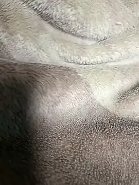 Snapshot of AssamSilchar93 chatting on 20, 1, 2025 AssamSilchar93 online show from 20, 1, 2025