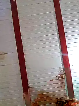 Snapshot of Zaralu_ chatting on 8, 10, 2025 Zaralu online show from 8, 10, 2025