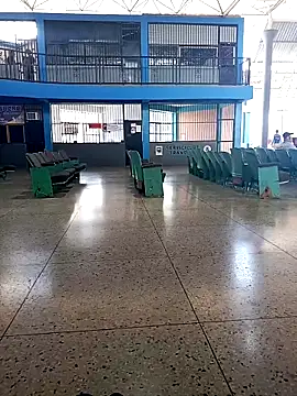 AlkalineCalmness online show from 24, 3, 2026