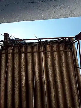 Percybr4561 online show from 25, 10, 2025