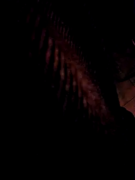 Snapshot of 3anntel chatting on 25, 11, 2025 3anntel online show from 25, 11, 2025