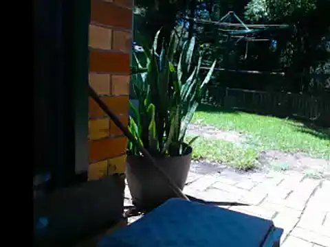 Snapshot of InfamousBabyy_ chatting on 12, 12, 2024 InfamousBabyy online show from 12, 12, 2024