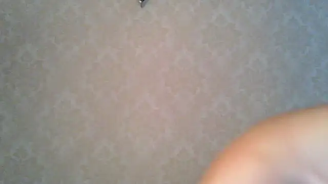 Kashtanka  online show from 27, 10, 2025