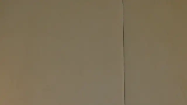 NattyDevon online show from 20, 2, 2025