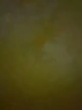 HeviZ online show from 21, 1, 2025