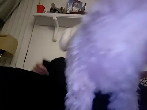 Snapshot of Hand69someguy chatting on 10, 1, 2026 Hand69someguy online show from 10, 1, 2026