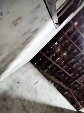 Leonelzain online show from 6, 3, 2026