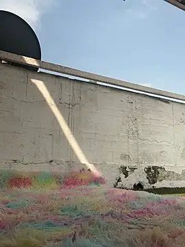 suzanelee online show from 10, 3, 2025