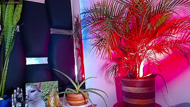 Snapshot of RyanRizzo chatting on 22, 1, 2025 RyanRizzo online show from 22, 1, 2025