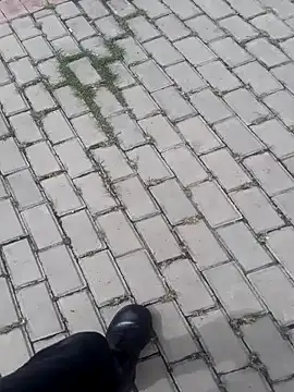 sophie banger online show from 16, 11, 2025