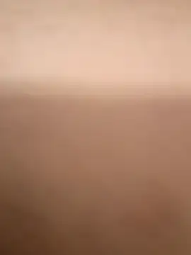 rayaarmando423736 online show from 19, 11, 2025