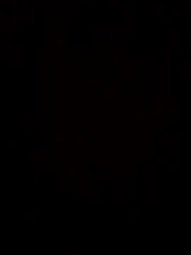 maripah online show from 22, 7, 2026